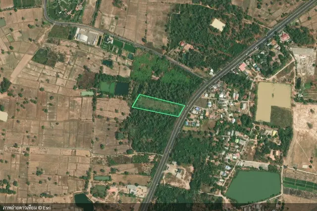 ที่ดิน 5-3-42 ไร่ บ้านหนองเกียบ อ.เมืองบุรีรัมย์